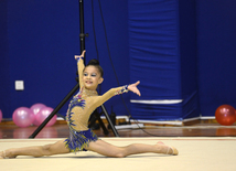  Competitions of the Open Championship and Cup of the START sports club on Rhythmic Gymnastics "Autumn stars" 