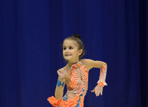  Competitions of the Open Championship and Cup of the START sports club on Rhythmic Gymnastics "Autumn stars" 