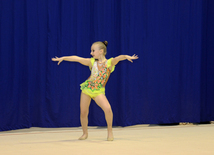  Competitions of the Open Championship and Cup of the START sports club on Rhythmic Gymnastics "Autumn stars" 