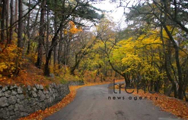 Gold autumn sketches in Azerbaijani regions. Azerbaijan, Tovuz, October 28, 2017