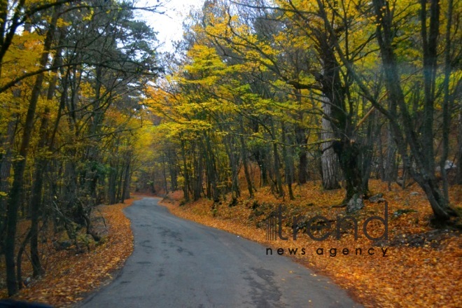 Gold autumn sketches in Azerbaijani regions. Azerbaijan, Tovuz, October 28, 2017