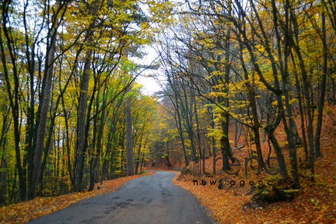 Gold autumn sketches in Azerbaijani regions. Azerbaijan, Tovuz, October 28, 2017