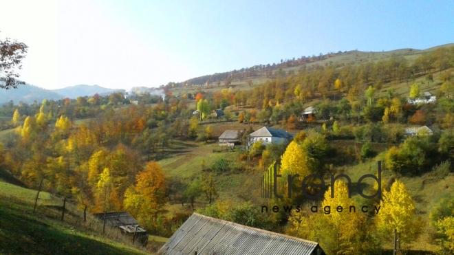 Gold autumn sketches in Azerbaijani regions. Azerbaijan, Tovuz, October 28, 2017