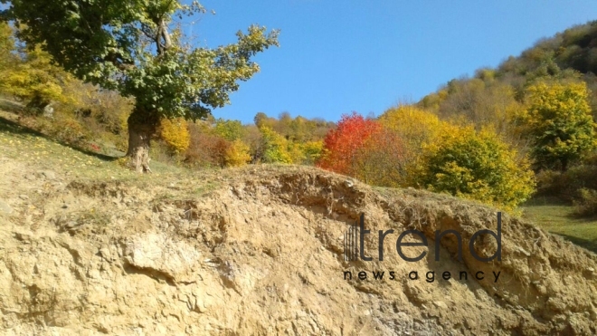 Gold autumn sketches in Azerbaijani regions. Azerbaijan, Tovuz, October 28, 2017