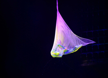 В Баку представлено фантастическое шоу UFO Большого Московского цирка