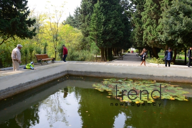 Autumn in Baku Botanical Garden. Azerbaijan, Baku, November 8, 2017 