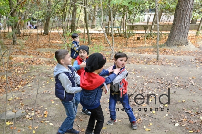 Autumn in Baku Botanical Garden. Azerbaijan, Baku, November 8, 2017 