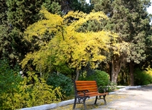 Осенний день в Ботаническом саду Баку