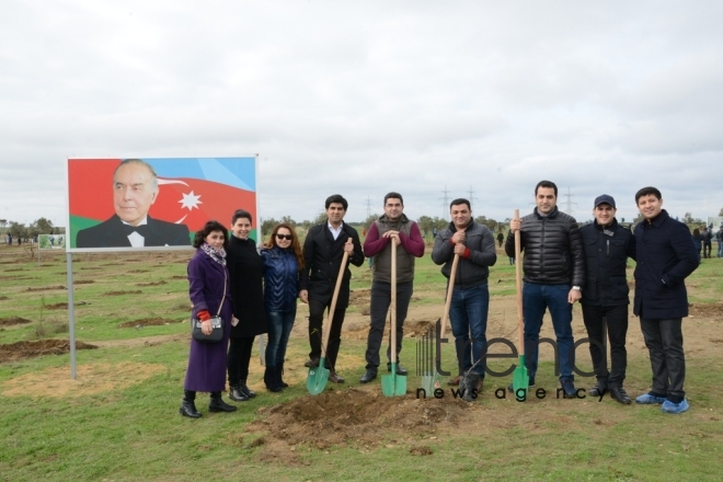 Партия «Ени Азербайджан» провела акцию посадки деревьев. Азербайджан, Баку, 11 ноября, 2017