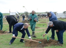 Партия «Ени Азербайджан» провела акцию посадки деревьев