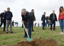  Партия «Ени Азербайджан» провела акцию посадки деревьев
