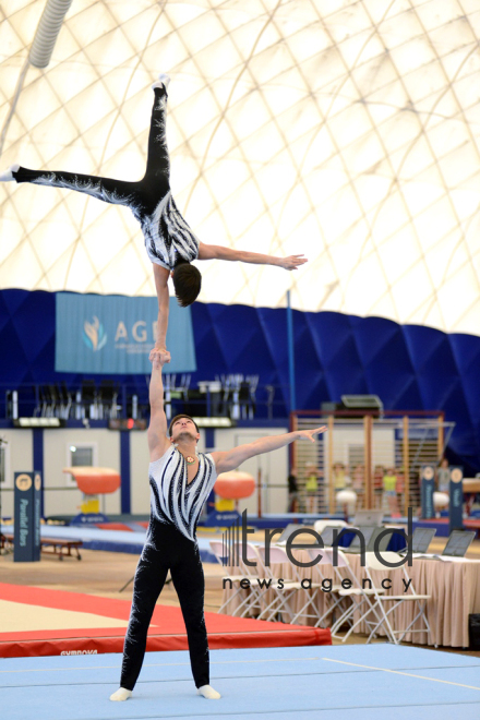 Artistic and acrobatic gymnastics championships kick off in Azerbaijan. Azerbaijan, Baku, november 17, 2017
