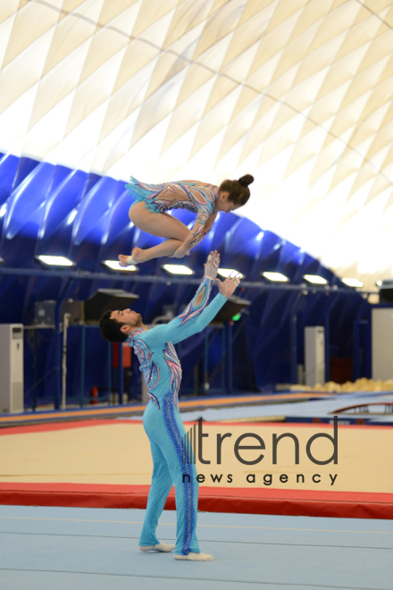 Artistic and acrobatic gymnastics championships kick off in Azerbaijan. Azerbaijan, Baku, november 17, 2017
