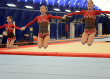  Artistic and acrobatic gymnastics championships kick off in Azerbaijan