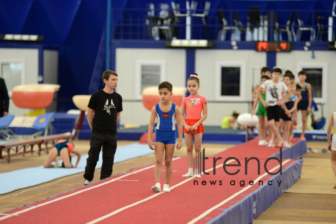 Gymnastics championships begin in Baku. Azerbaijan, Baku, november 23, 2017