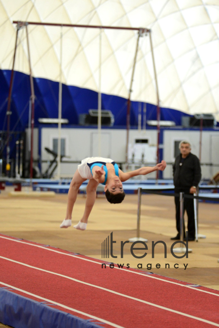 Gymnastics championships begin in Baku. Azerbaijan, Baku, november 23, 2017