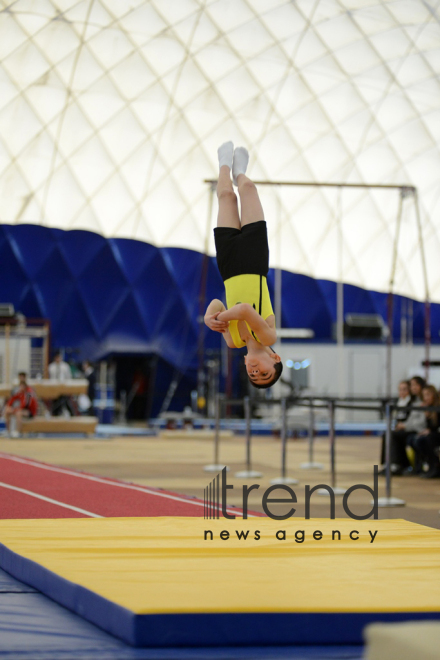 Gymnastics championships begin in Baku. Azerbaijan, Baku, november 23, 2017