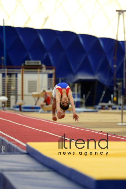 Gymnastics championships begin in Baku. Azerbaijan, Baku, november 23, 2017