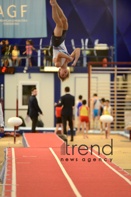 Gymnastics championships begin in Baku. Azerbaijan, Baku, november 23, 2017