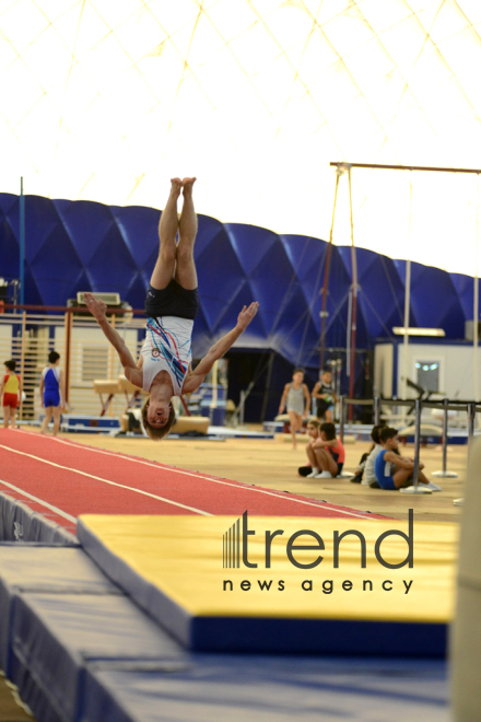 Gimnastikanın 4 növü üzrə Azərbaycan çempionatı və Bakı birinciliyi keçirilir. Azərbaycan, Bakı, 23 noyabr 2017