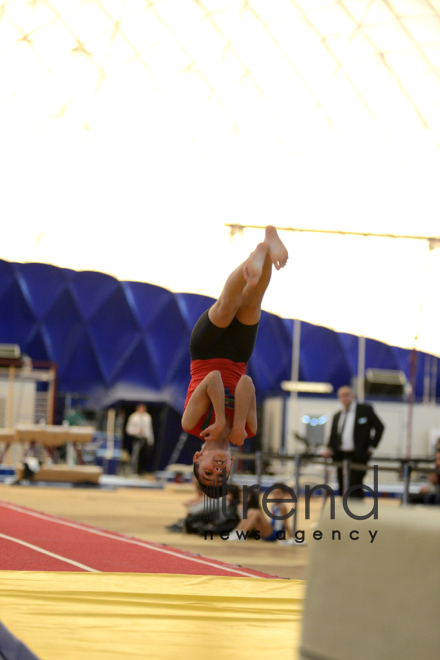 Gymnastics championships begin in Baku. Azerbaijan, Baku, november 23, 2017