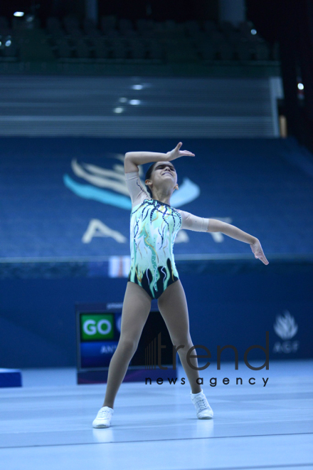 Gymnastics championships begin in Baku: Second day. Azerbaijan, Baku, november 24, 2017