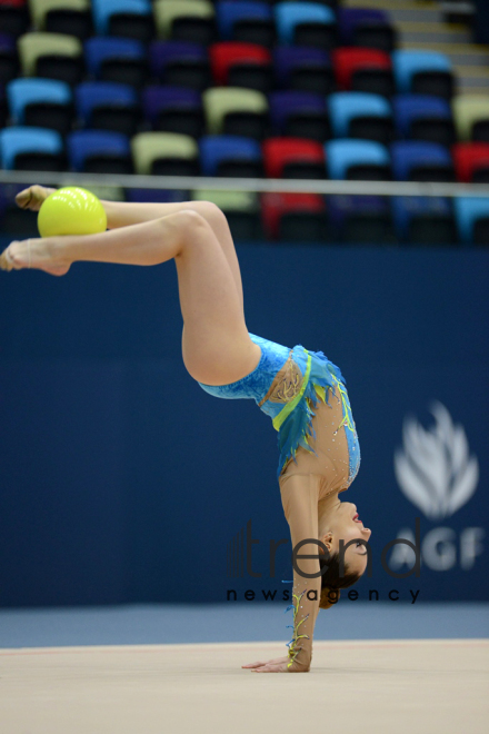 Gymnastics championships begin in Baku: Second day. Azerbaijan, Baku, november 24, 2017