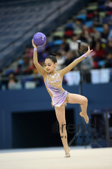 Gymnastics championships begin in Baku: The third day. Azerbaijan, Baku, november 25, 2017
