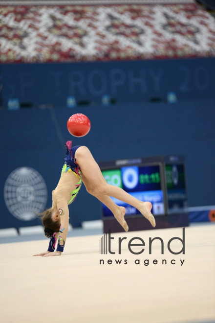 Gymnastics championships begin in Baku: The third day. Azerbaijan, Baku, november 25, 2017
