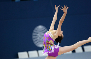 Gymnastics championships begin in Baku: The third day. Azerbaijan, Baku, november 25, 2017
