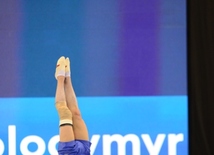 Best moments of FIG Artistic Gymnastics World Cup in photos