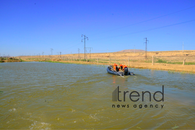 Engineering-sapper troops of Azerbaijan’s Armed Forces hold exercises  Azerbaijan, Baku, 22 June 2018
