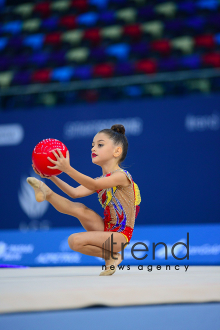 Bakıda bədii gimnastika üzrə "GymBala" adlı beynəlxalq turnirə start verilib. Azərbaycan, Bakı, 18 avqust , 2018 
 
  