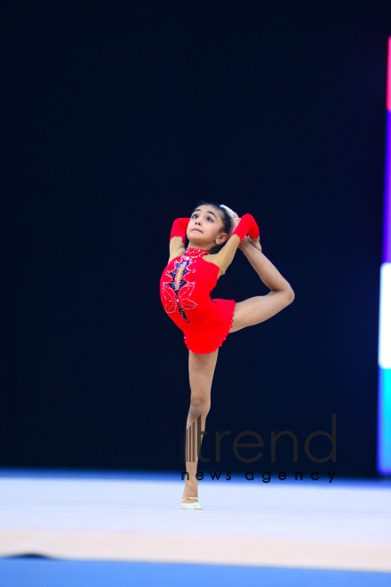 Milli Gimnastika Arenasında bədii gimnastika üzrə 25-ci Azərbaycan Birinciliyi start götürüb. Azərbaycan. Bakı 6 dekabr 2018