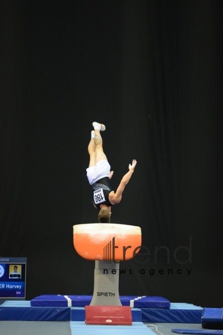 Milli Gimnastika Arenasında idman gimnastikası üzrə Dünya Kuboku çərçivəsində yarışlar davam edir. Azərbaycan Bakı 15 mart 2019