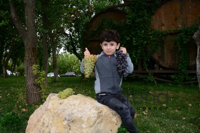 Shamakhi hosts solemn opening ceremony of 1st  Azerbaijan Grape and Wine Festival. Azerbaijan,Shamakhi , august 30 , 2019
