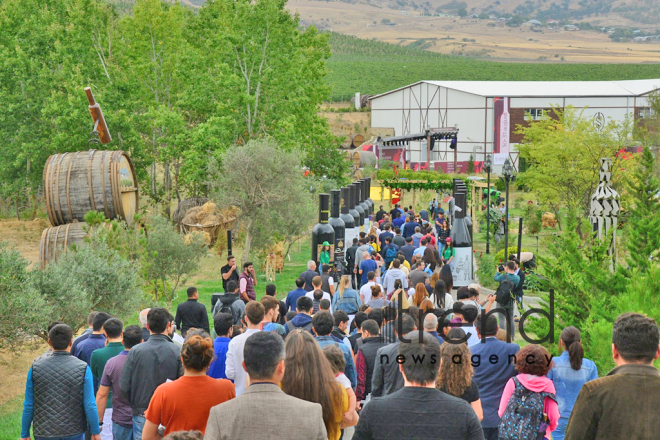 Shamakhi hosts solemn opening ceremony of 1st  Azerbaijan Grape and Wine Festival. Azerbaijan,Shamakhi , august 30 , 2019
