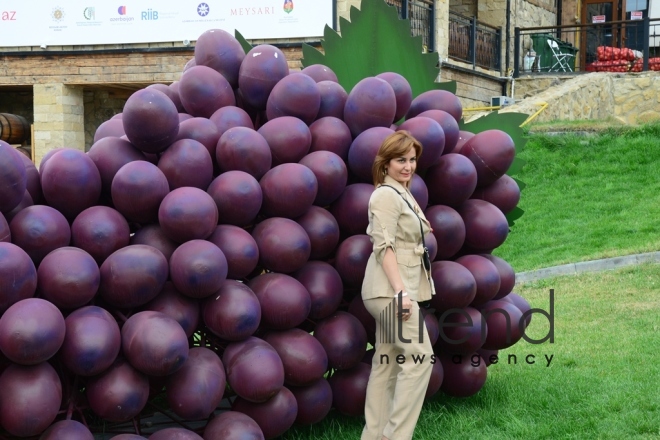 Shamakhi hosts solemn opening ceremony of 1st  Azerbaijan Grape and Wine Festival. Azerbaijan,Shamakhi , august 30 , 2019
