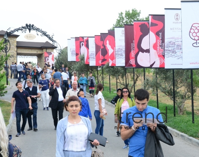 Shamakhi hosts solemn opening ceremony of 1st  Azerbaijan Grape and Wine Festival. Azerbaijan,Shamakhi , august 30 , 2019
