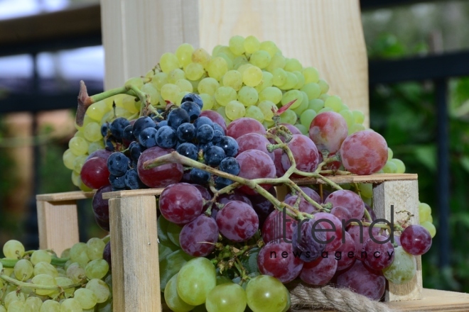 Shamakhi hosts solemn opening ceremony of 1st  Azerbaijan Grape and Wine Festival. Azerbaijan,Shamakhi , august 30 , 2019
