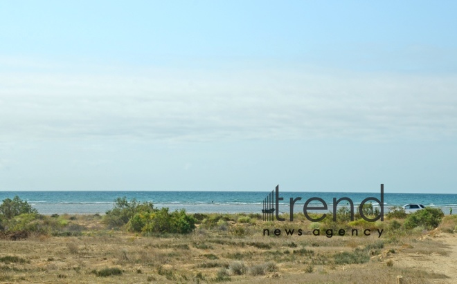 Fishing tournament held in Absheron National Park.Azerbaijan, Baku, осtober 6  2019.
