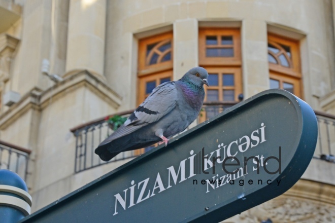 Bakının Fevvarələr meydanı.Azərbaycan, Bakı, 6 noyabr 2019