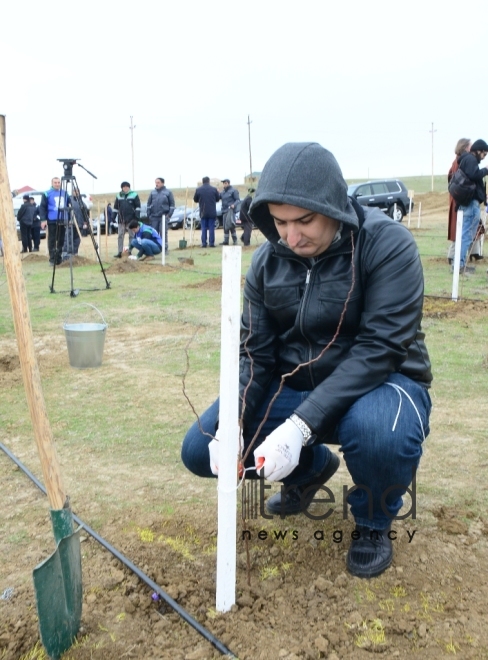 Celebration in Mushfigabad, campaign to plant 650,000 trees, concert, celebrities.Azerbaijan Baku 6 december 2019
