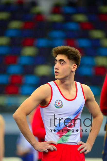 FIG World Cup in Trampoline Gymnastics Tumbling kicks off in Baku.Azerbaijan Baku 15  February 2020
