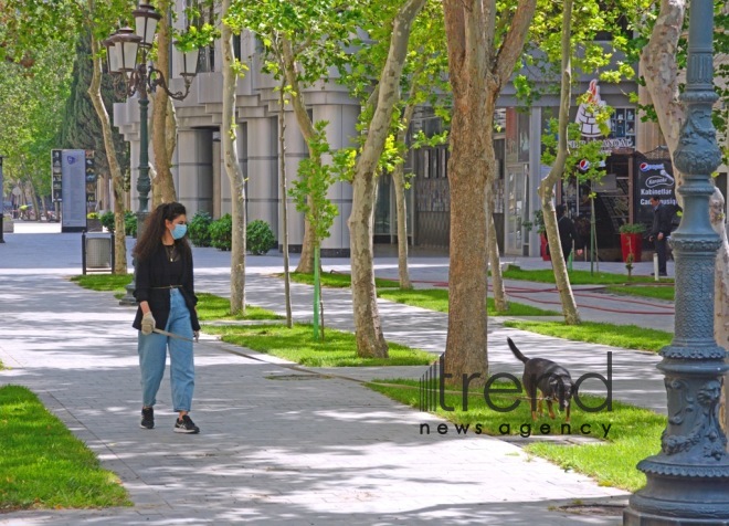 Baku streets in quarantine period.Azerbaijan Baku may 15  2020
