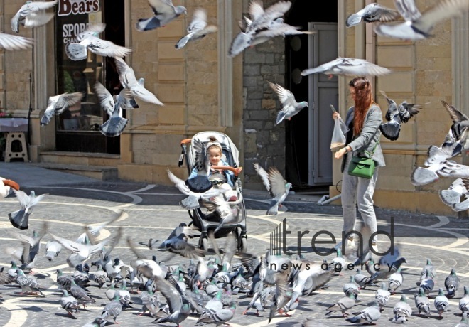 Baku after quarantine easing.Azerbaijan  Baku  may 20   2020