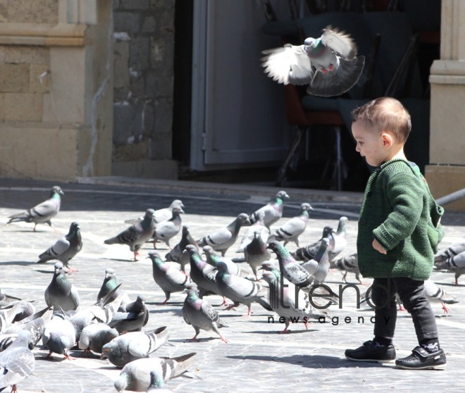 Baku after quarantine easing.Azerbaijan  Baku  may 20   2020