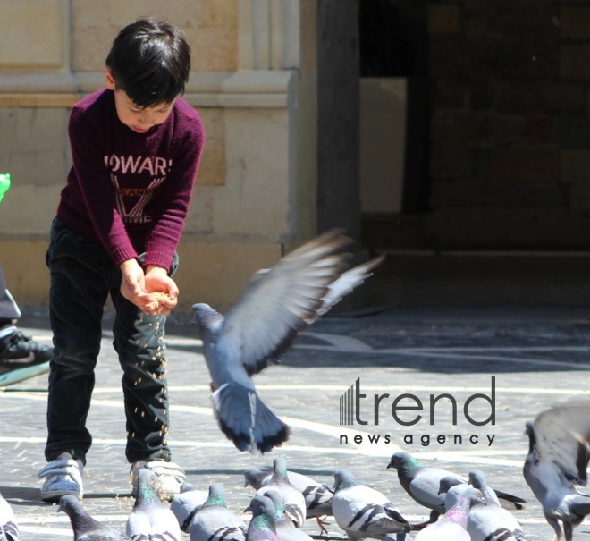 Baku after quarantine easing.Azerbaijan  Baku  may 20   2020