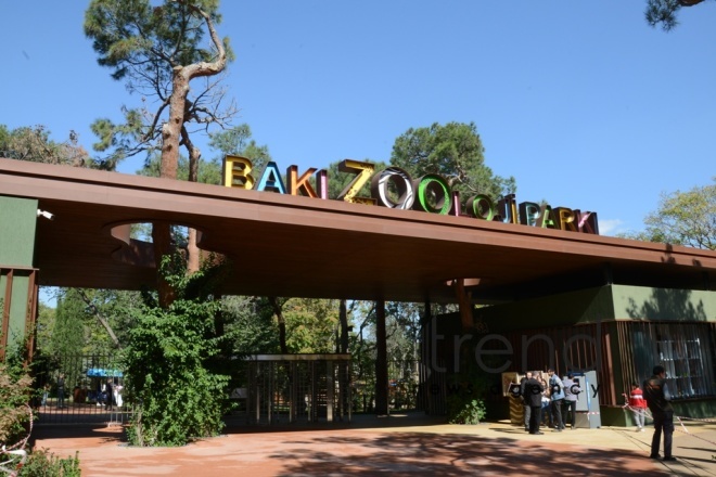 Бакинский зоологический парк  Азербайджан Баку 09 октября 2021  